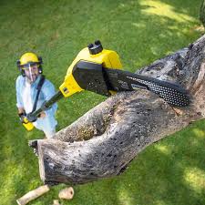 Best Landscape Design and Installation  in Lexington, TN
