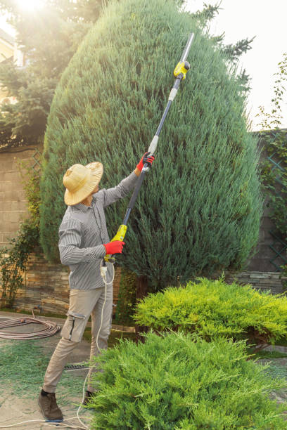 Seasonal Cleanup (Spring/Fall) in Lexington, TN